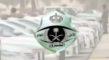 مزاد اللوحات الإلكتروني ينطلق اليوم فرصة ثمينة لاقتناء أرقام مميزة من المرور